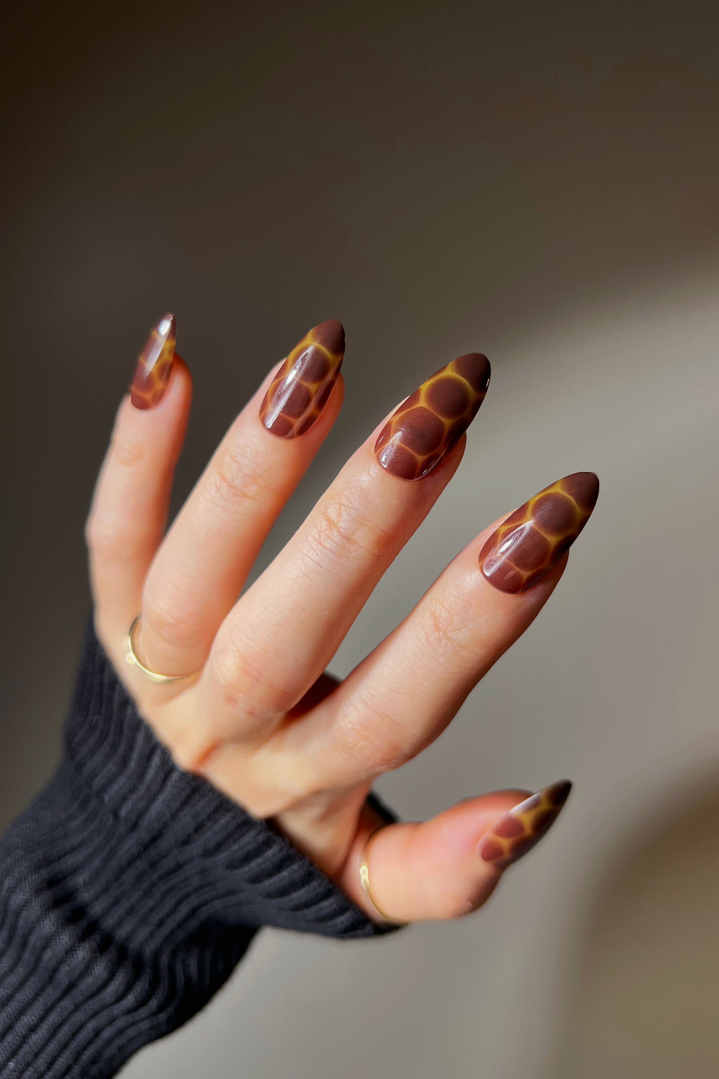 Cocoa Nouveau